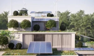 Groendak met mos en planten op stadshuis